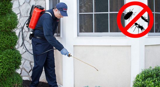 Ulukent Karınca İlaçlama böcek ilaçlama ve haşere kontrolü — ilaclama-tr.com